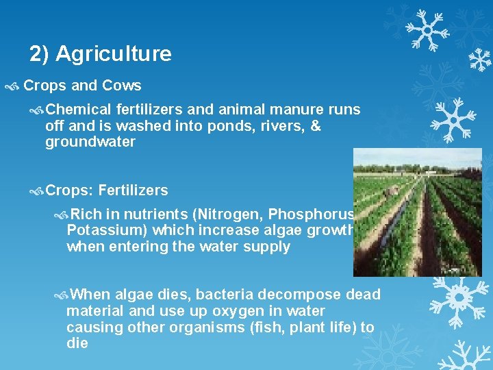 2) Agriculture Crops and Cows Chemical fertilizers and animal manure runs off and is