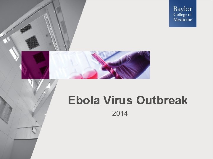 Ebola Virus Outbreak 2014 