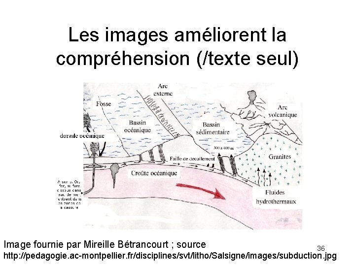 Les images améliorent la compréhension (/texte seul) Image fournie par Mireille Bétrancourt ; source