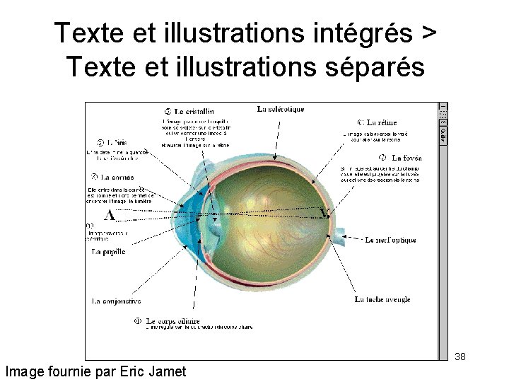 Texte et illustrations intégrés > Texte et illustrations séparés 38 Image fournie par Eric