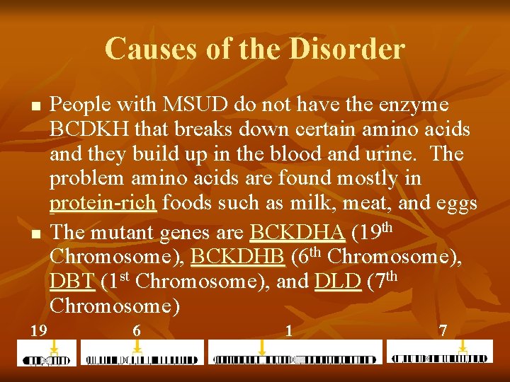 Causes of the Disorder n n 19 People with MSUD do not have the