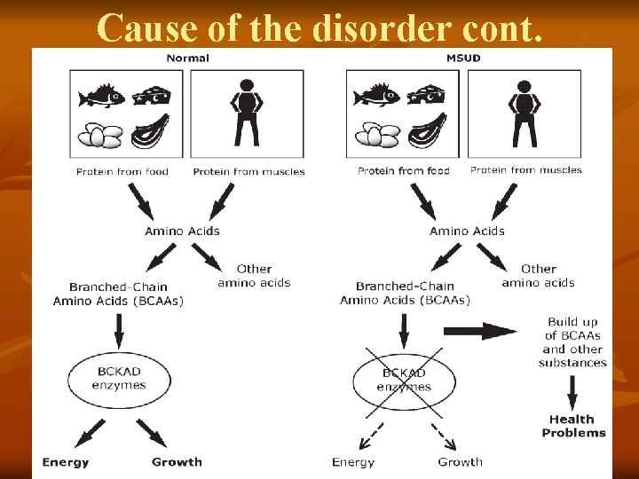 Cause of the disorder cont. 