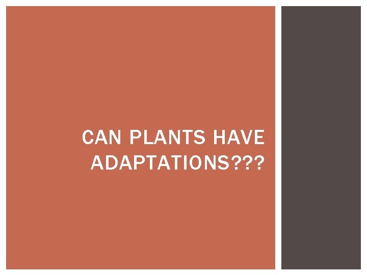 CAN PLANTS HAVE ADAPTATIONS? ? ? 