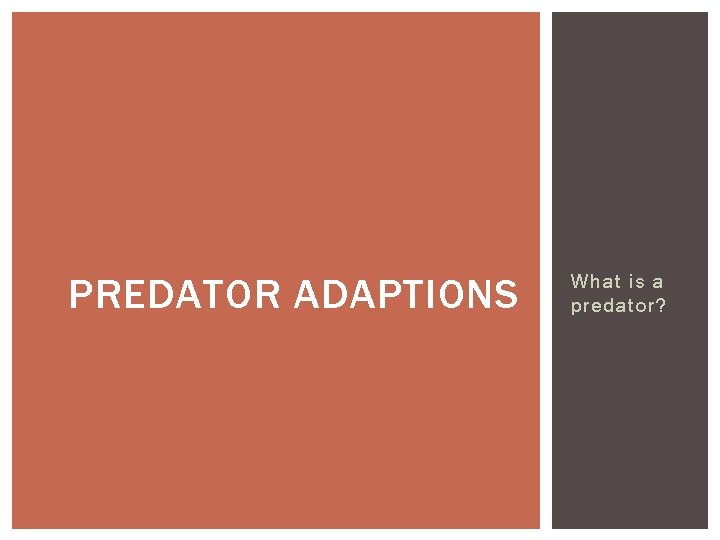 PREDATOR ADAPTIONS What is a predator? 