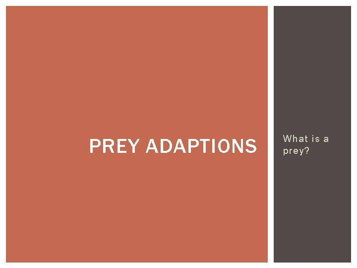 PREY ADAPTIONS What is a prey? 