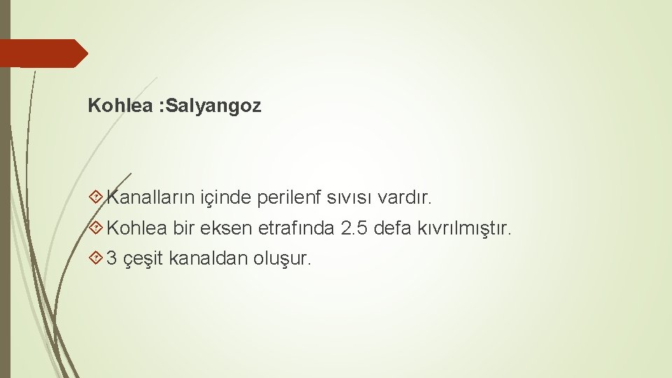 Kohlea : Salyangoz Kanalların içinde perilenf sıvısı vardır. Kohlea bir eksen etrafında 2. 5