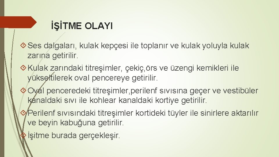 İŞİTME OLAYI Ses dalgaları, kulak kepçesi ile toplanır ve kulak yoluyla kulak zarına getirilir.