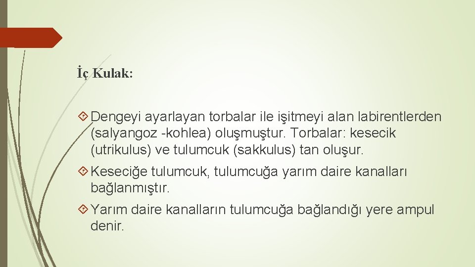 İç Kulak: Dengeyi ayarlayan torbalar ile işitmeyi alan labirentlerden (salyangoz -kohlea) oluşmuştur. Torbalar: kesecik