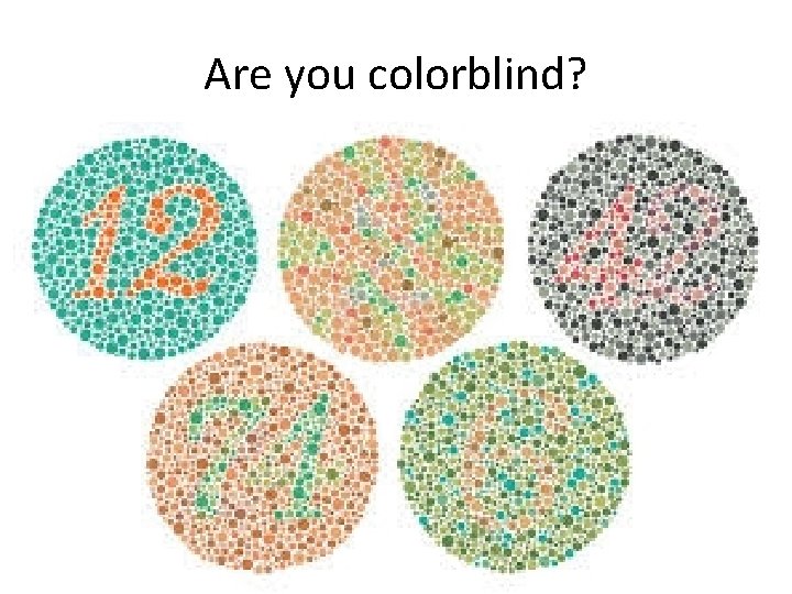 Are you colorblind? 