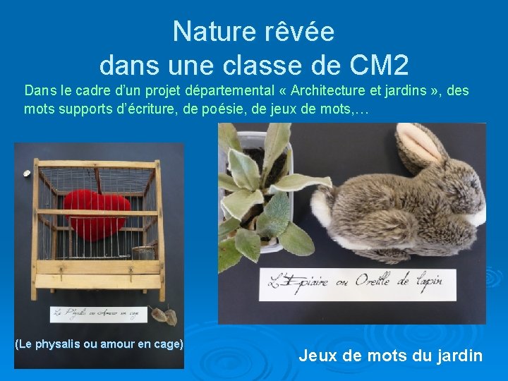 Nature rêvée dans une classe de CM 2 Dans le cadre d’un projet départemental