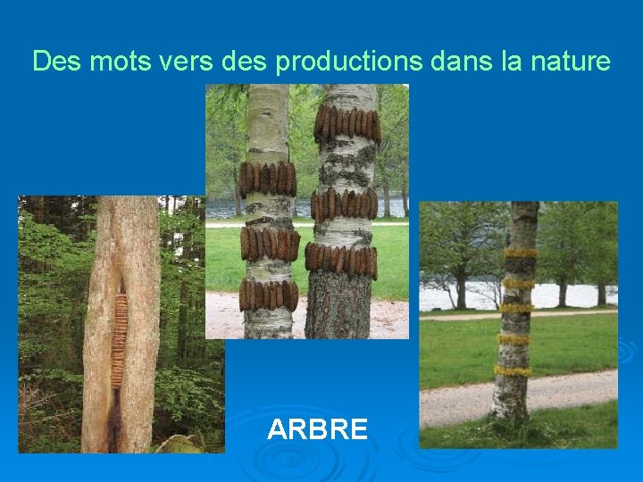 Des mots vers des productions dans la nature ARBRE 