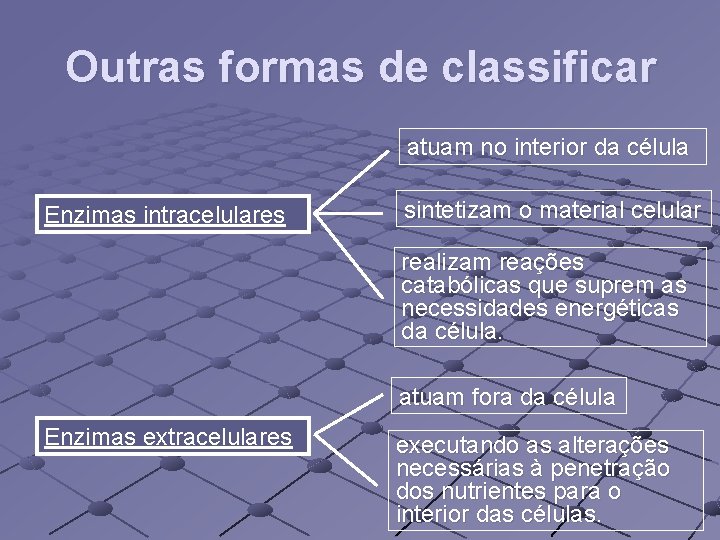 Outras formas de classificar atuam no interior da célula Enzimas intracelulares sintetizam o material