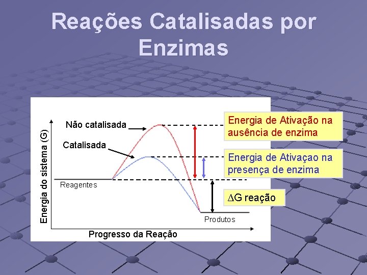 Energia do sistema (G) Reações Catalisadas por Enzimas Não catalisada Energia de Ativação na