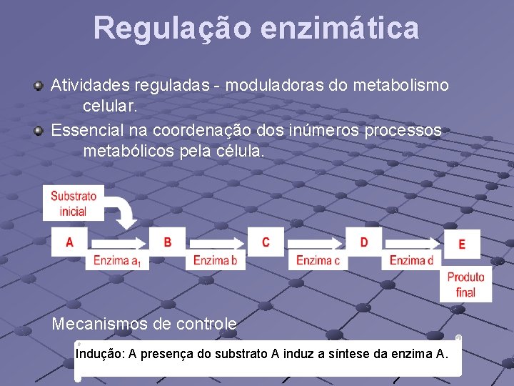 Regulação enzimática Atividades reguladas - moduladoras do metabolismo celular. Essencial na coordenação dos inúmeros