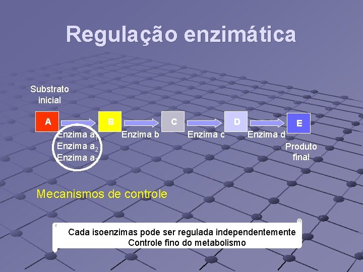 Regulação enzimática Substrato inicial A C B Enzima a 1 Enzima a 2 Enzima