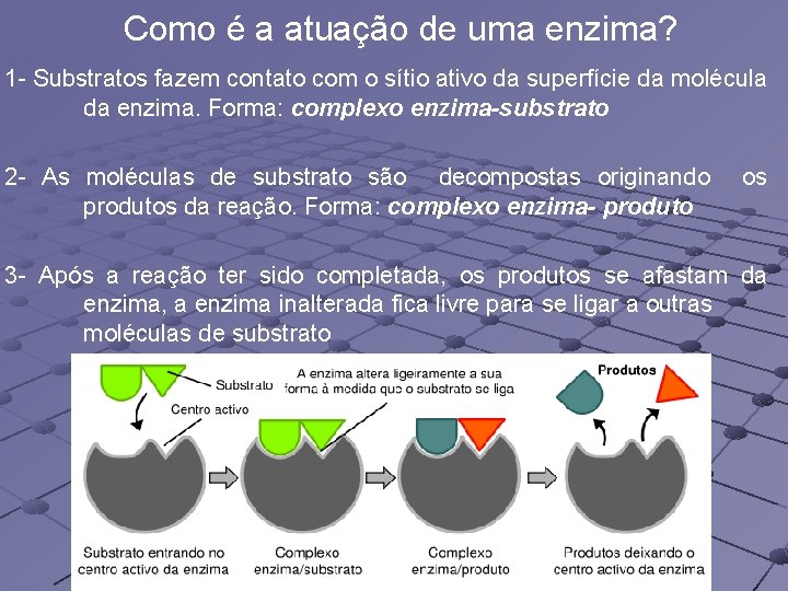 Como é a atuação de uma enzima? 1 - Substratos fazem contato com o