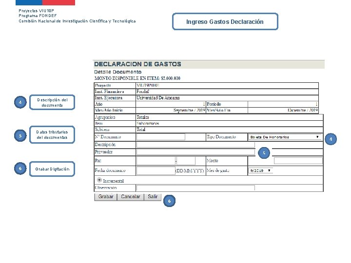 Proyectos VIU 19 P Programa FONDEF Comisión Nacional de Investigación Científica y Tecnológica 4