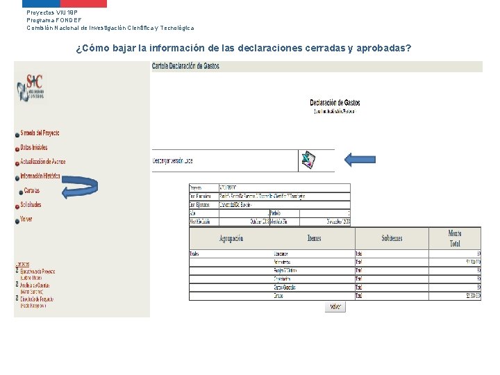 Proyectos VIU 19 P Programa FONDEF Comisión Nacional de Investigación Científica y Tecnológica ¿Cómo