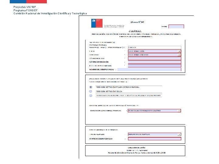 Proyectos VIU 19 P Programa FONDEF Comisión Nacional de Investigación Científica y Tecnológica 