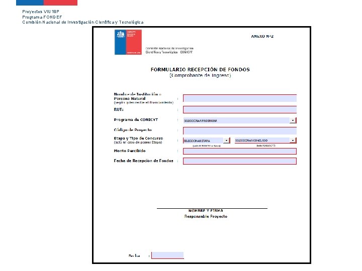 Proyectos VIU 19 P Programa FONDEF Comisión Nacional de Investigación Científica y Tecnológica 