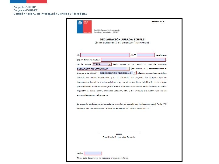 Proyectos VIU 19 P Programa FONDEF Comisión Nacional de Investigación Científica y Tecnológica 