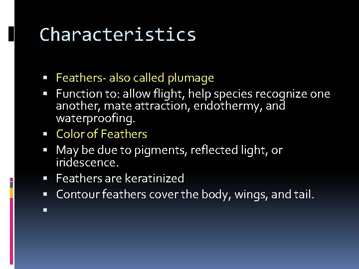 Characteristics Feathers- also called plumage Function to: allow flight, help species recognize one another, Characteristics Feathers- also called plumage Function to: allow flight, help species recognize one another,