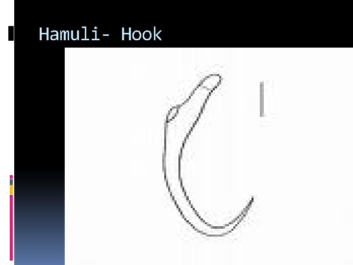 Hamuli- Hook Hamuli- Hook