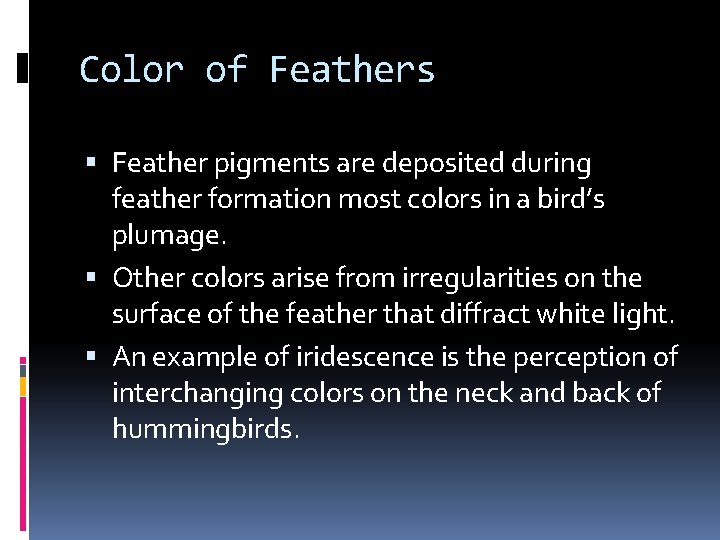 Color of Feathers Feather pigments are deposited during feather formation most colors in a Color of Feathers Feather pigments are deposited during feather formation most colors in a