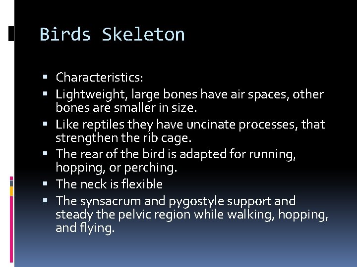 Birds Skeleton Characteristics: Lightweight, large bones have air spaces, other bones are smaller in Birds Skeleton Characteristics: Lightweight, large bones have air spaces, other bones are smaller in