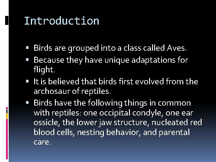 Introduction Birds are grouped into a class called Aves. Because they have unique adaptations Introduction Birds are grouped into a class called Aves. Because they have unique adaptations