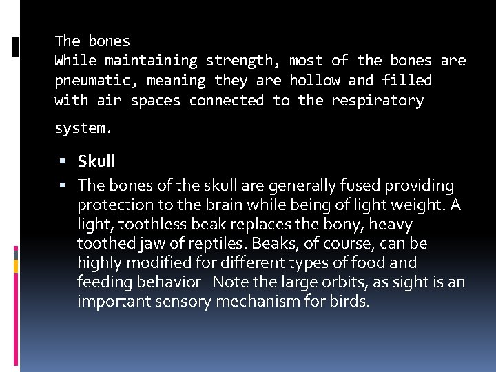 The bones While maintaining strength, most of the bones are pneumatic, meaning they are The bones While maintaining strength, most of the bones are pneumatic, meaning they are