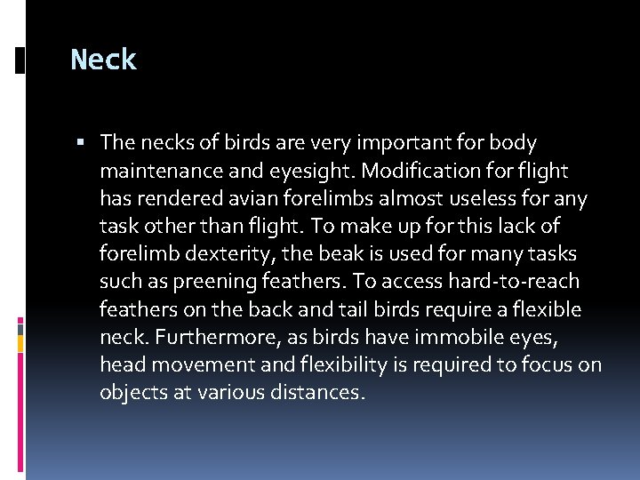 Neck The necks of birds are very important for body maintenance and eyesight. Modification Neck The necks of birds are very important for body maintenance and eyesight. Modification