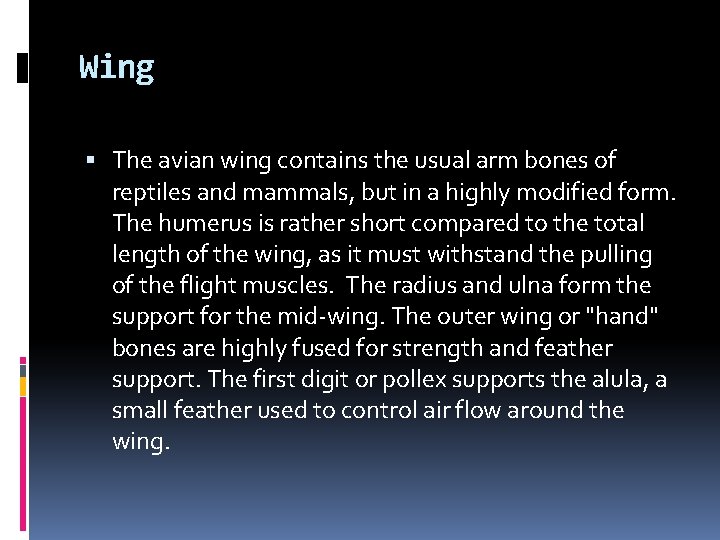 Wing The avian wing contains the usual arm bones of reptiles and mammals, but Wing The avian wing contains the usual arm bones of reptiles and mammals, but