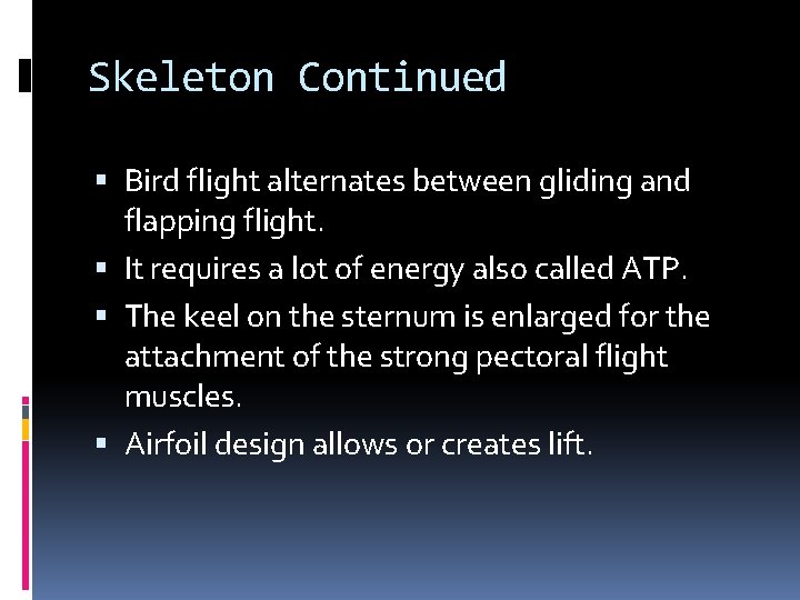 Skeleton Continued Bird flight alternates between gliding and flapping flight. It requires a lot Skeleton Continued Bird flight alternates between gliding and flapping flight. It requires a lot