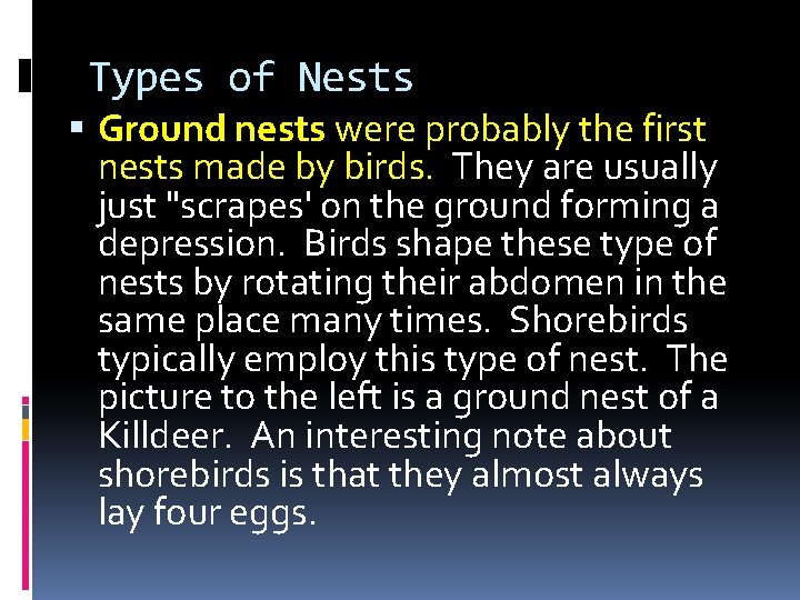 Types of Nests Ground nests were probably the first nests made by birds. They Types of Nests Ground nests were probably the first nests made by birds. They