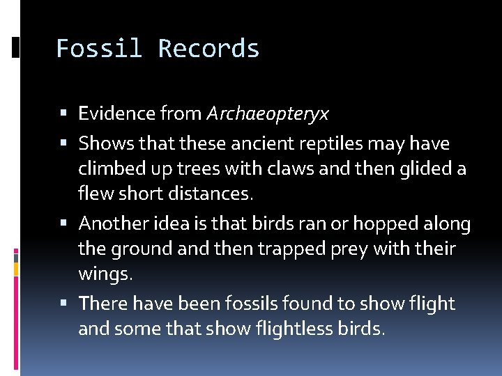 Fossil Records Evidence from Archaeopteryx Shows that these ancient reptiles may have climbed up Fossil Records Evidence from Archaeopteryx Shows that these ancient reptiles may have climbed up