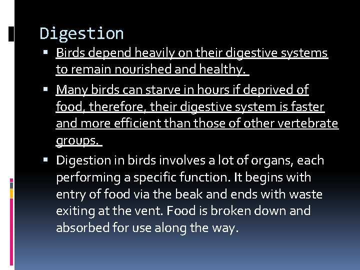 Digestion Birds depend heavily on their digestive systems to remain nourished and healthy. Many Digestion Birds depend heavily on their digestive systems to remain nourished and healthy. Many