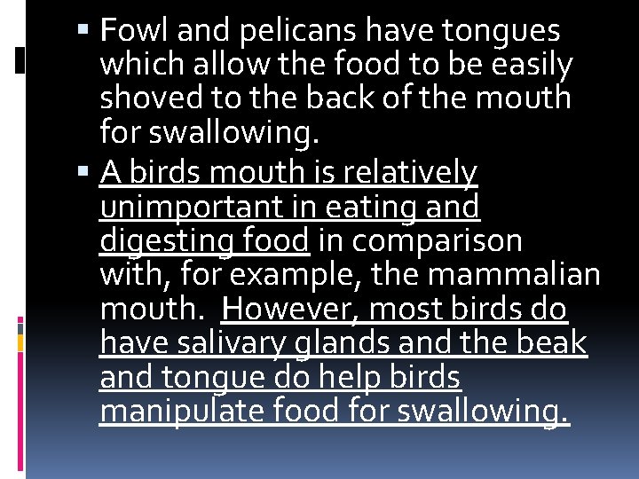 Fowl and pelicans have tongues which allow the food to be easily shoved Fowl and pelicans have tongues which allow the food to be easily shoved