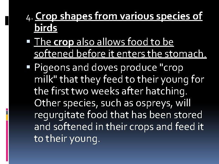 4. Crop shapes from various species of birds The crop also allows food to 4. Crop shapes from various species of birds The crop also allows food to
