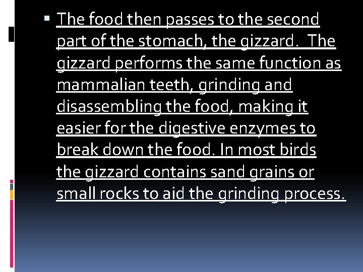 The food then passes to the second part of the stomach, the gizzard. The food then passes to the second part of the stomach, the gizzard.