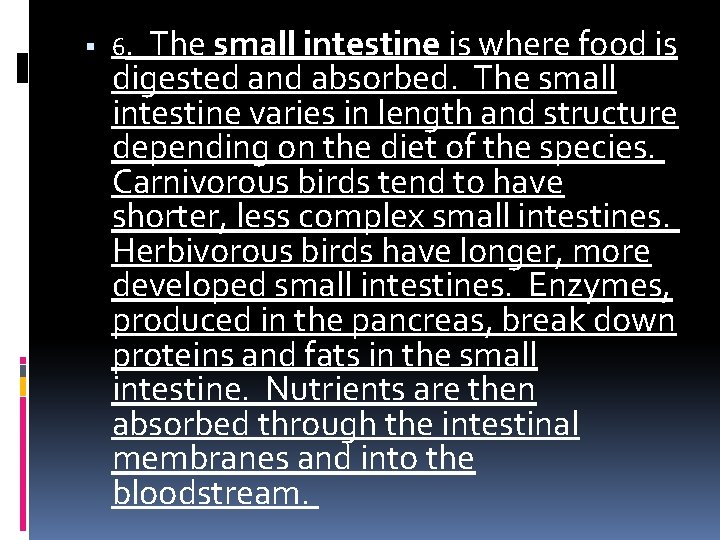 6. The small intestine is where food is digested and absorbed. The small 6. The small intestine is where food is digested and absorbed. The small
