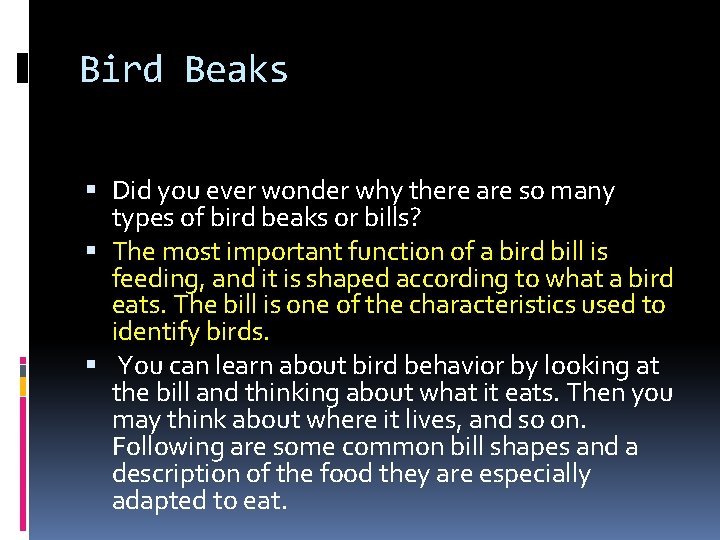 Bird Beaks Did you ever wonder why there are so many types of bird Bird Beaks Did you ever wonder why there are so many types of bird