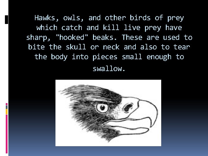 Hawks, owls, and other birds of prey which catch and kill live prey have Hawks, owls, and other birds of prey which catch and kill live prey have