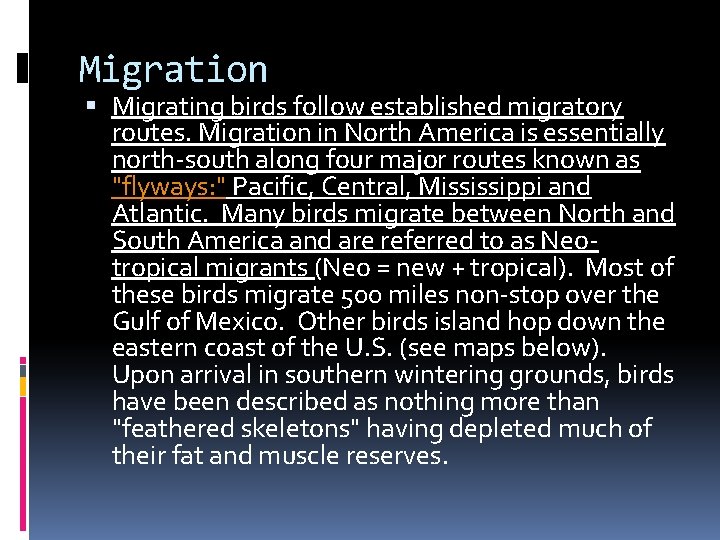 Migration Migrating birds follow established migratory routes. Migration in North America is essentially north-south Migration Migrating birds follow established migratory routes. Migration in North America is essentially north-south