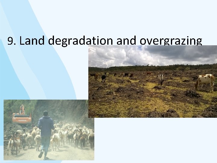 9. Land degradation and overgrazing 