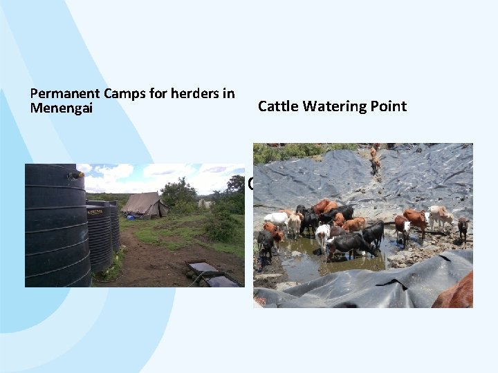 Permanent Camps for herders in Menengai Cattle Watering Point 9. Degradation & overgrazing cont.