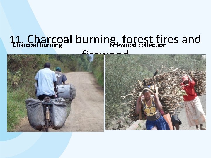 11. Charcoal burning, forest fires and Charcoal burning Firewood collection firewood 