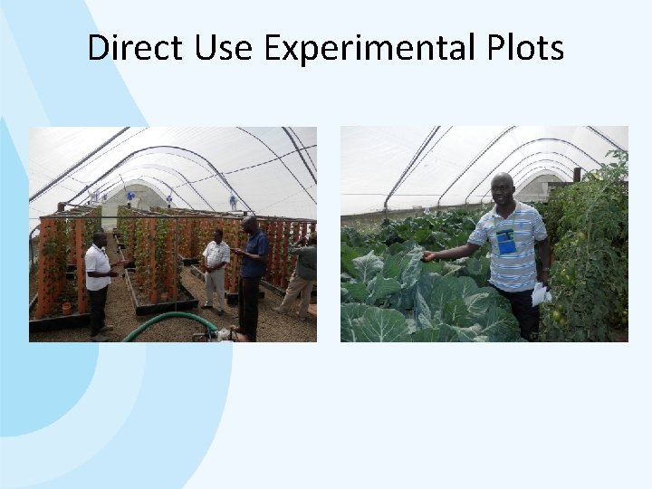 Direct Use Experimental Plots 