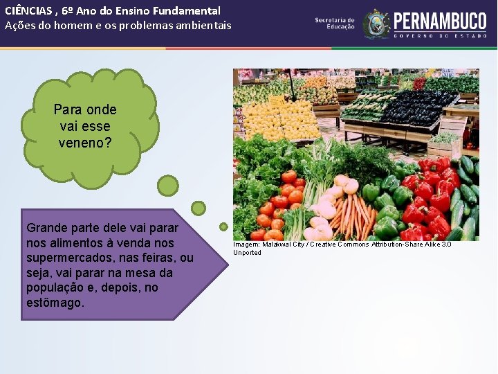 CIÊNCIAS , 6º Ano do Ensino Fundamental Ações do homem e os problemas ambientais