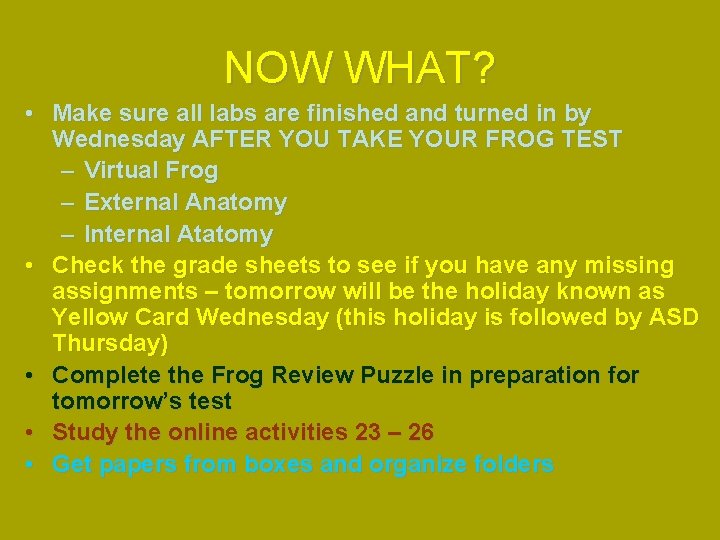NOW WHAT? • Make sure all labs are finished and turned in by Wednesday